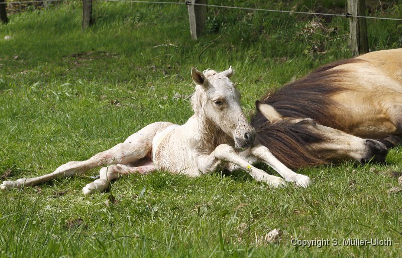 Hjoerdis 15 Min alt (7).JPG